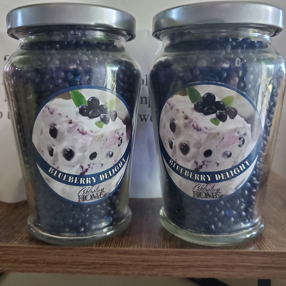 Blueberry Aroma crystals for Warmer or Sachet Home Interiors does not melt NEW
